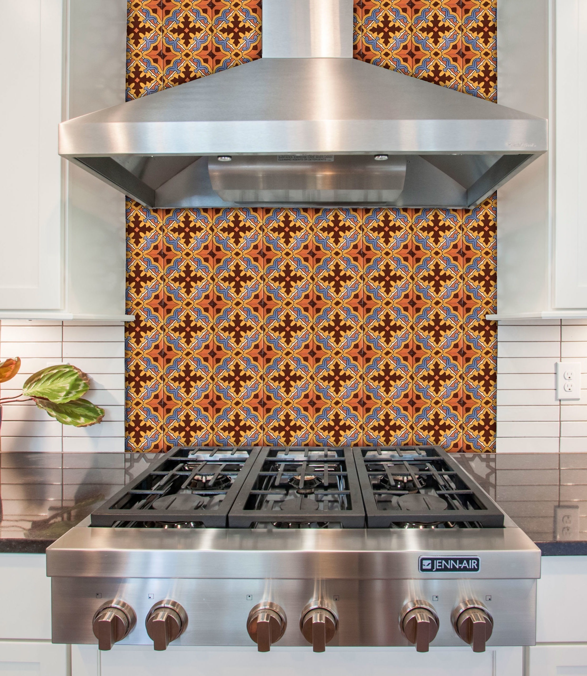 Mexican Talavera Tile - AMT 001