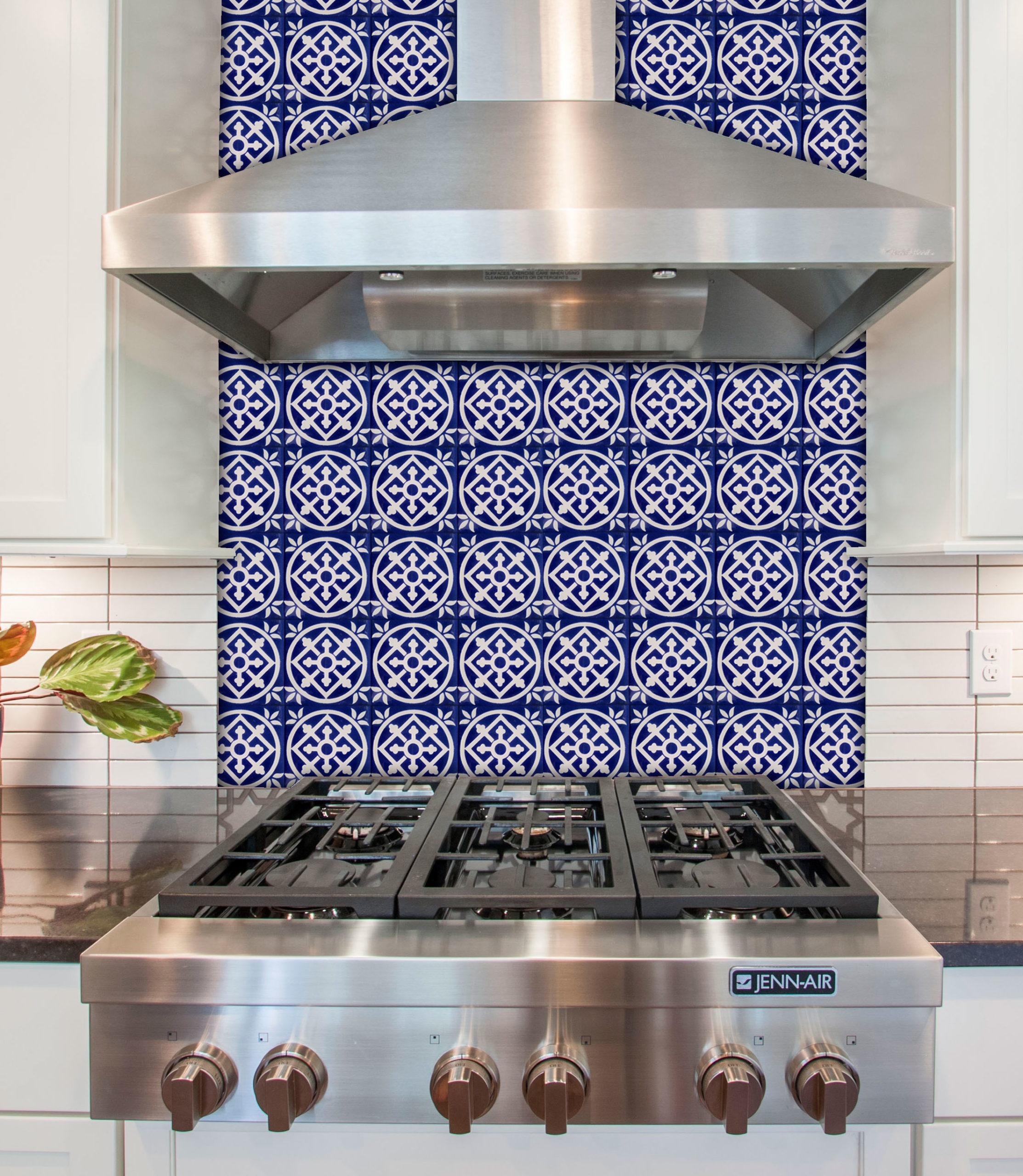 Mexican Talavera Tile - AMT 005