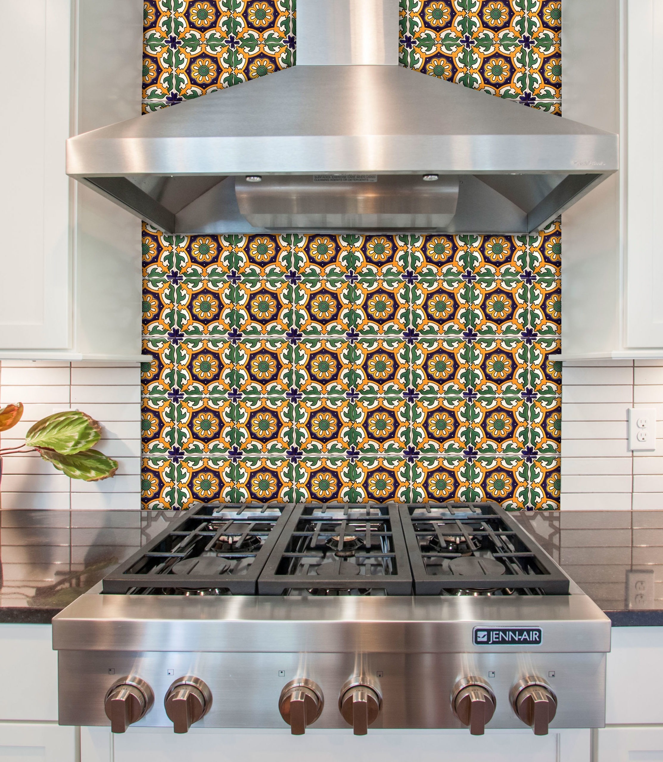 Mexican Talavera Tile - AMT 014 (#354)