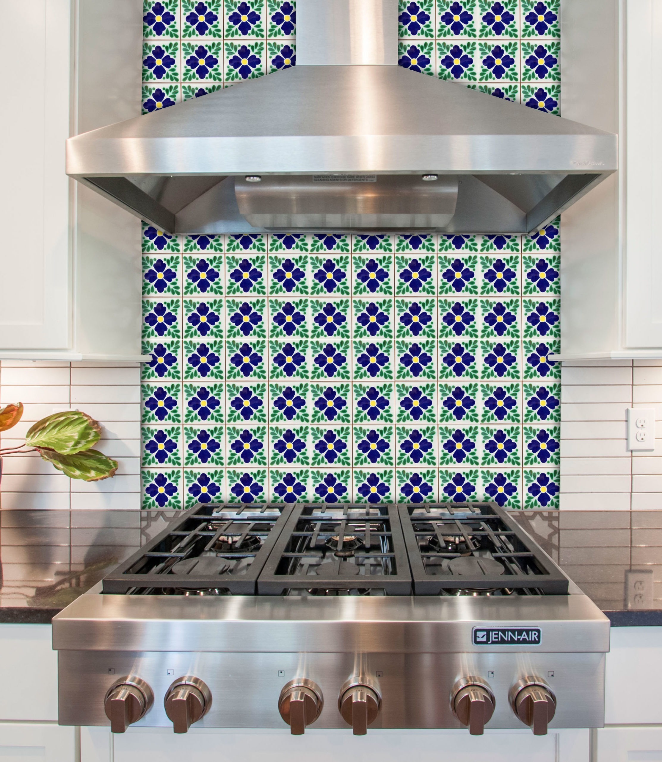Mexican Talavera Tile - AZ 020