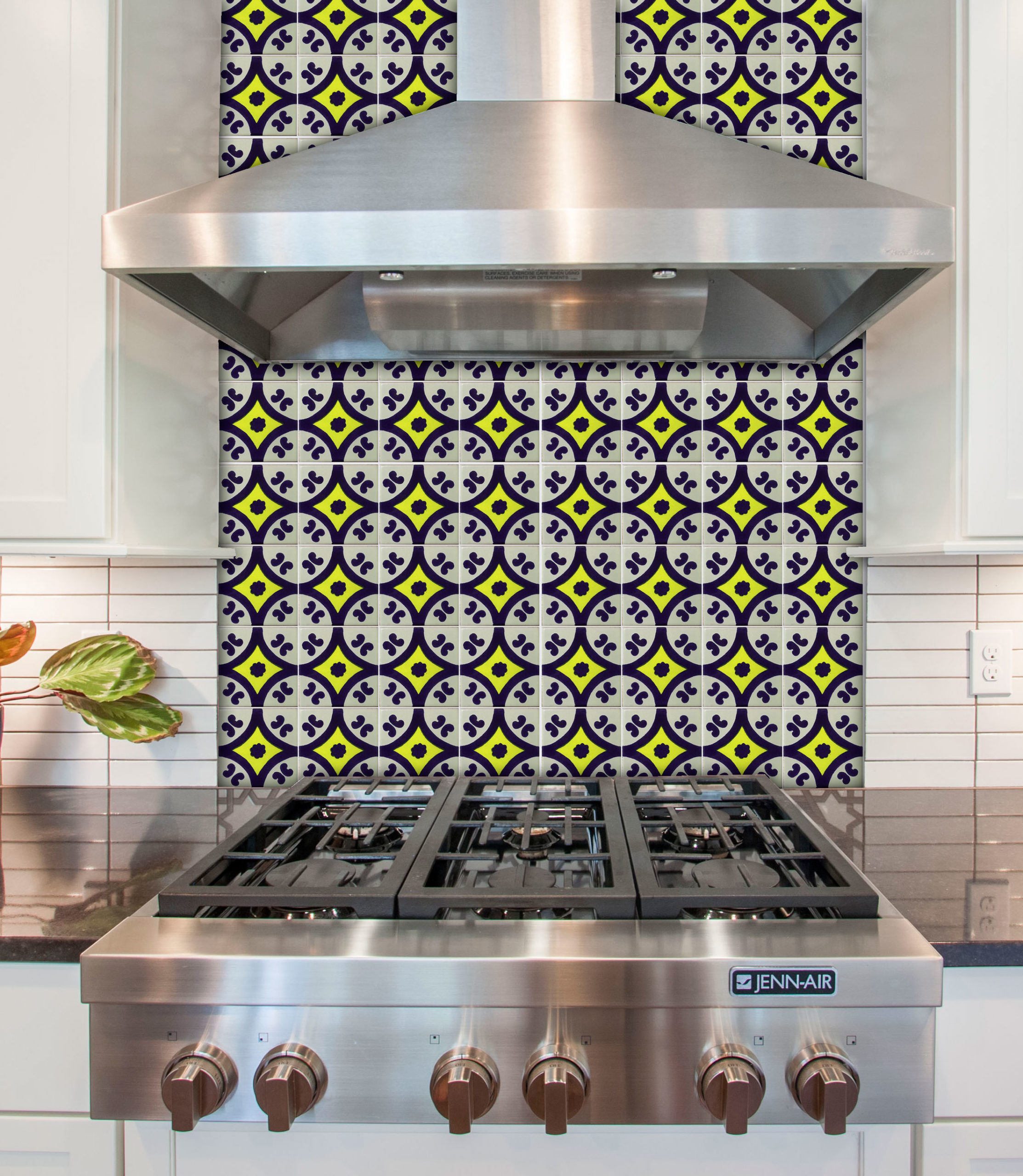 Mexican Talavera Tile - AZ 021