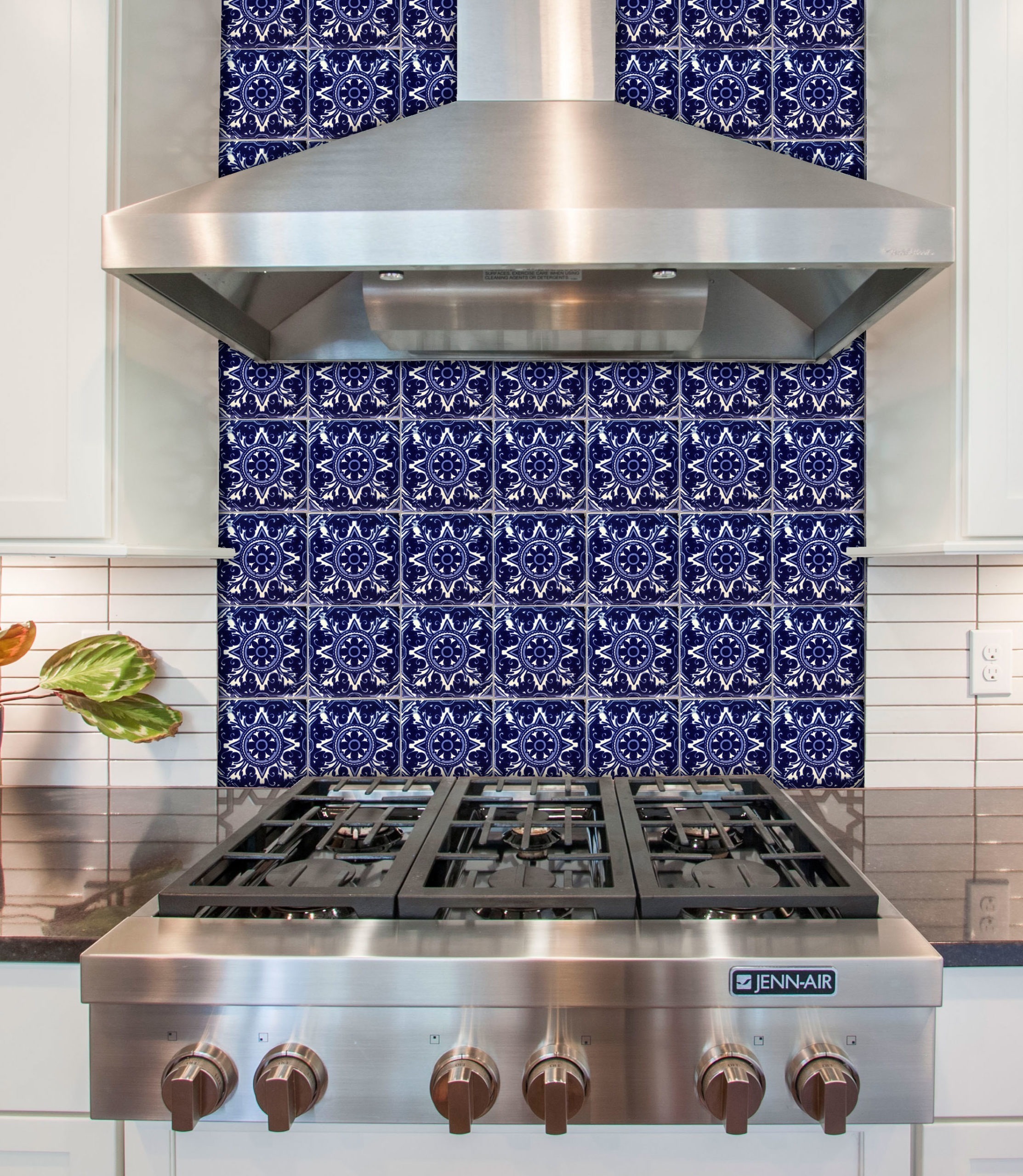 Mexican Talavera Tile – HAD 014