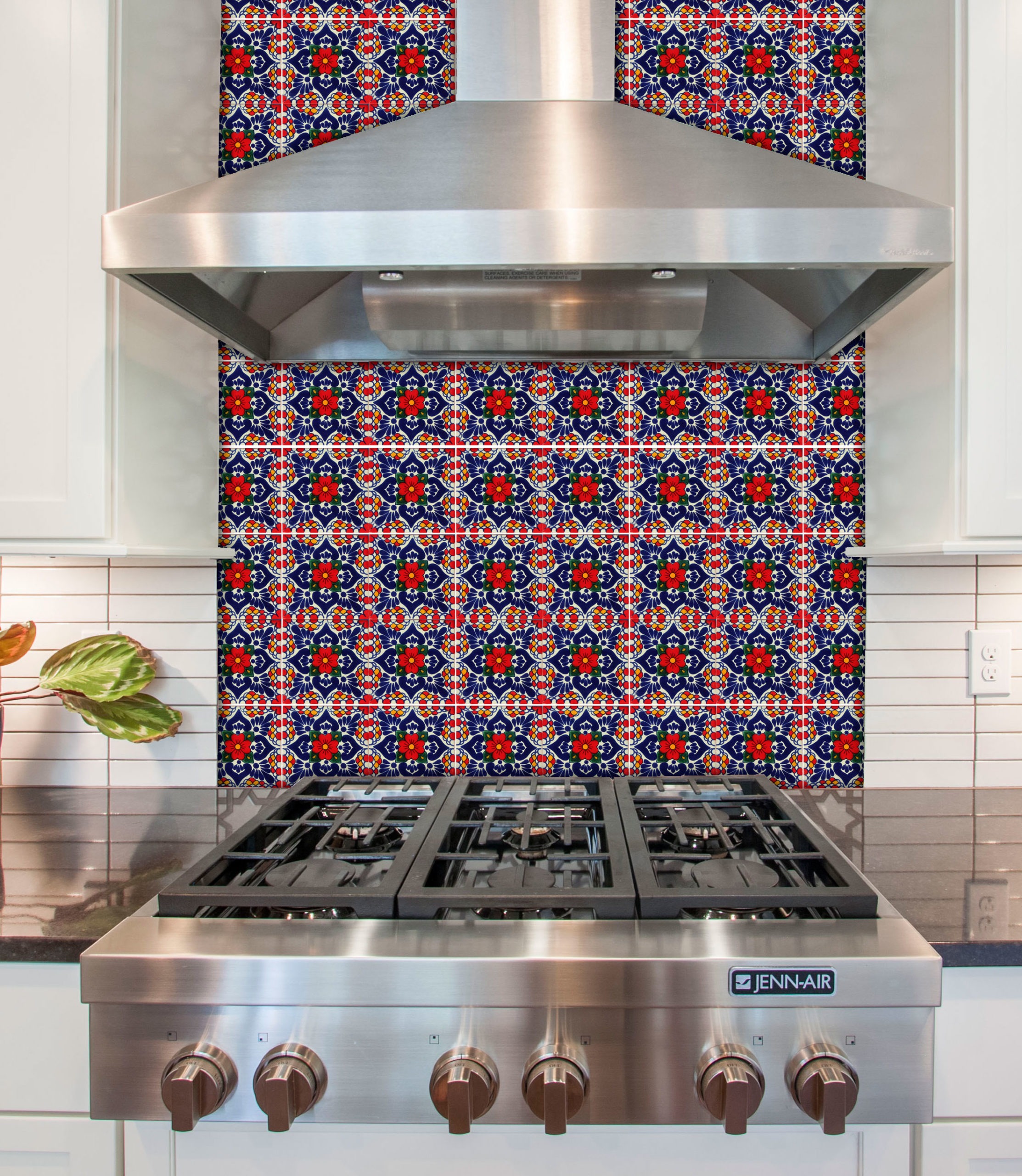 Mexican Talavera Tile – MAN004_RED