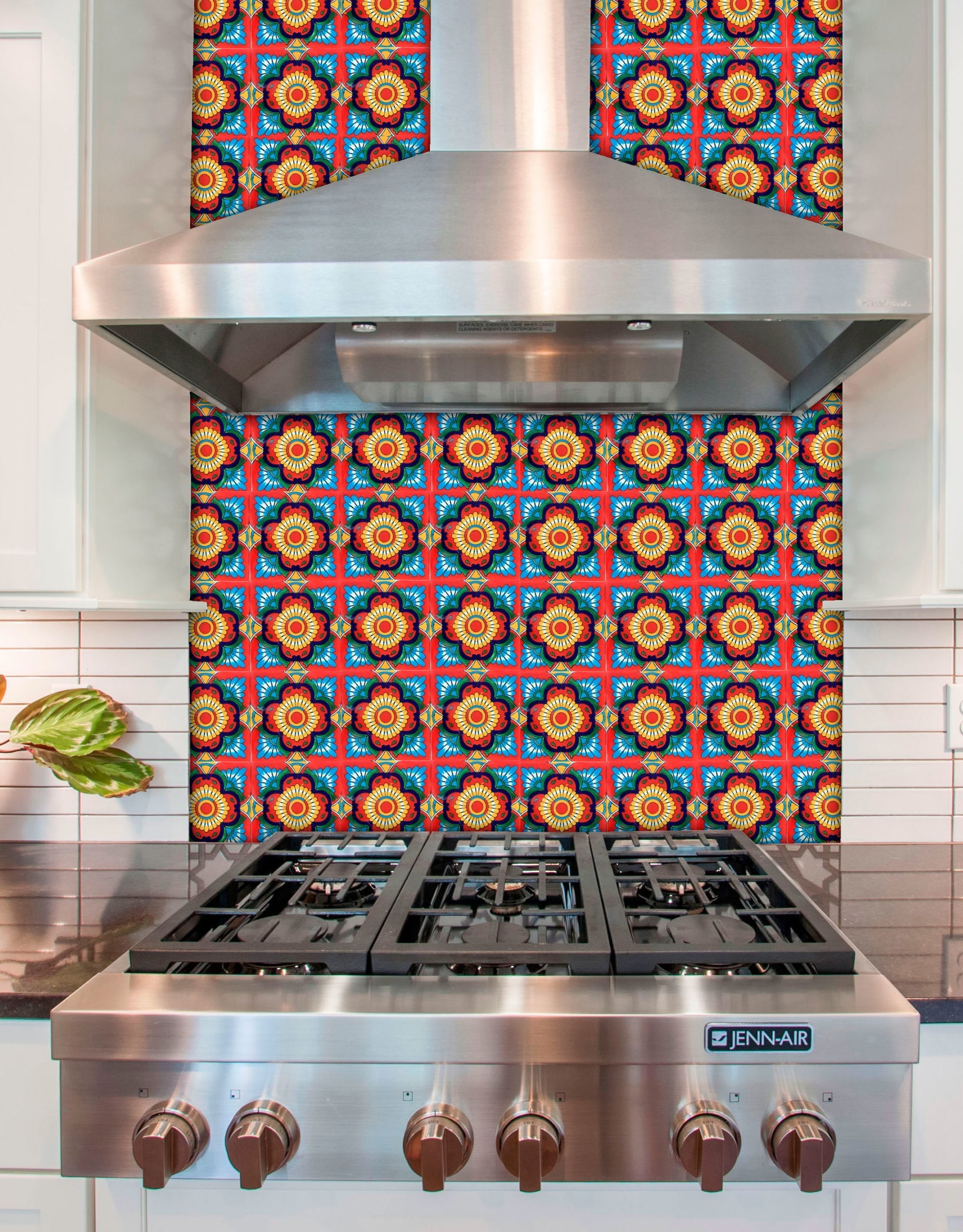 Mexican Talavera Tile - MAN-015 RED WITH GREEN