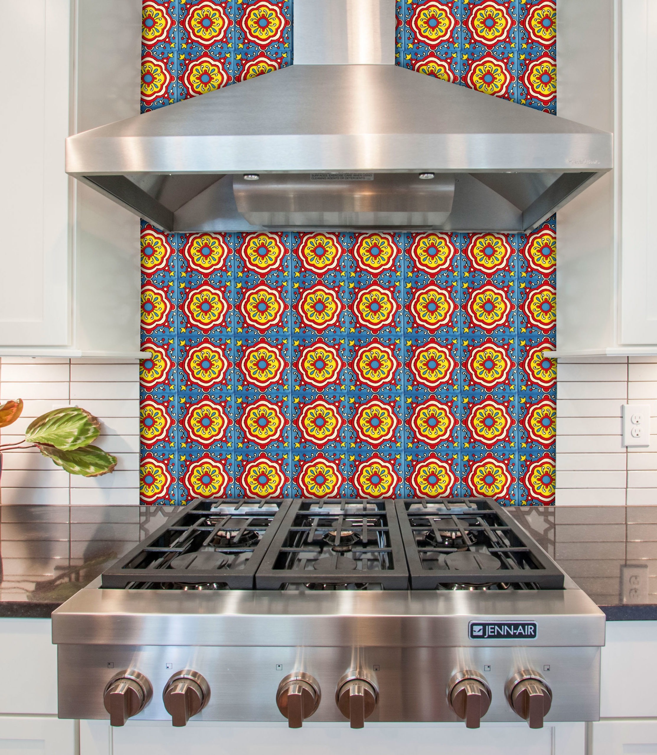 Mexican Talavera Tile – NEW 003