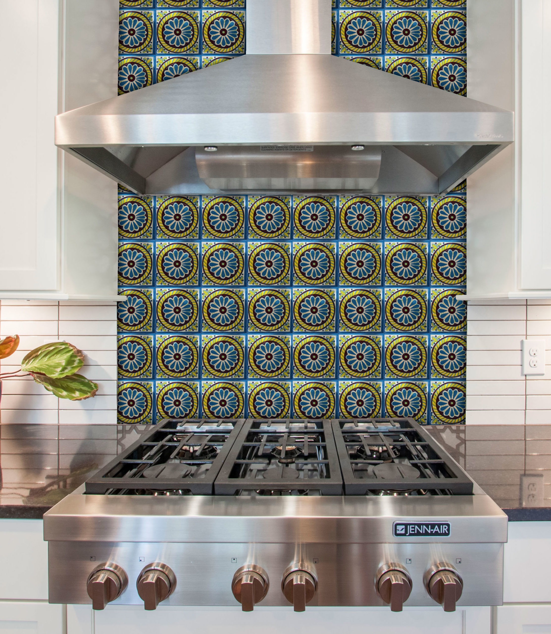 Mexican Talavera Tile – NEW 004
