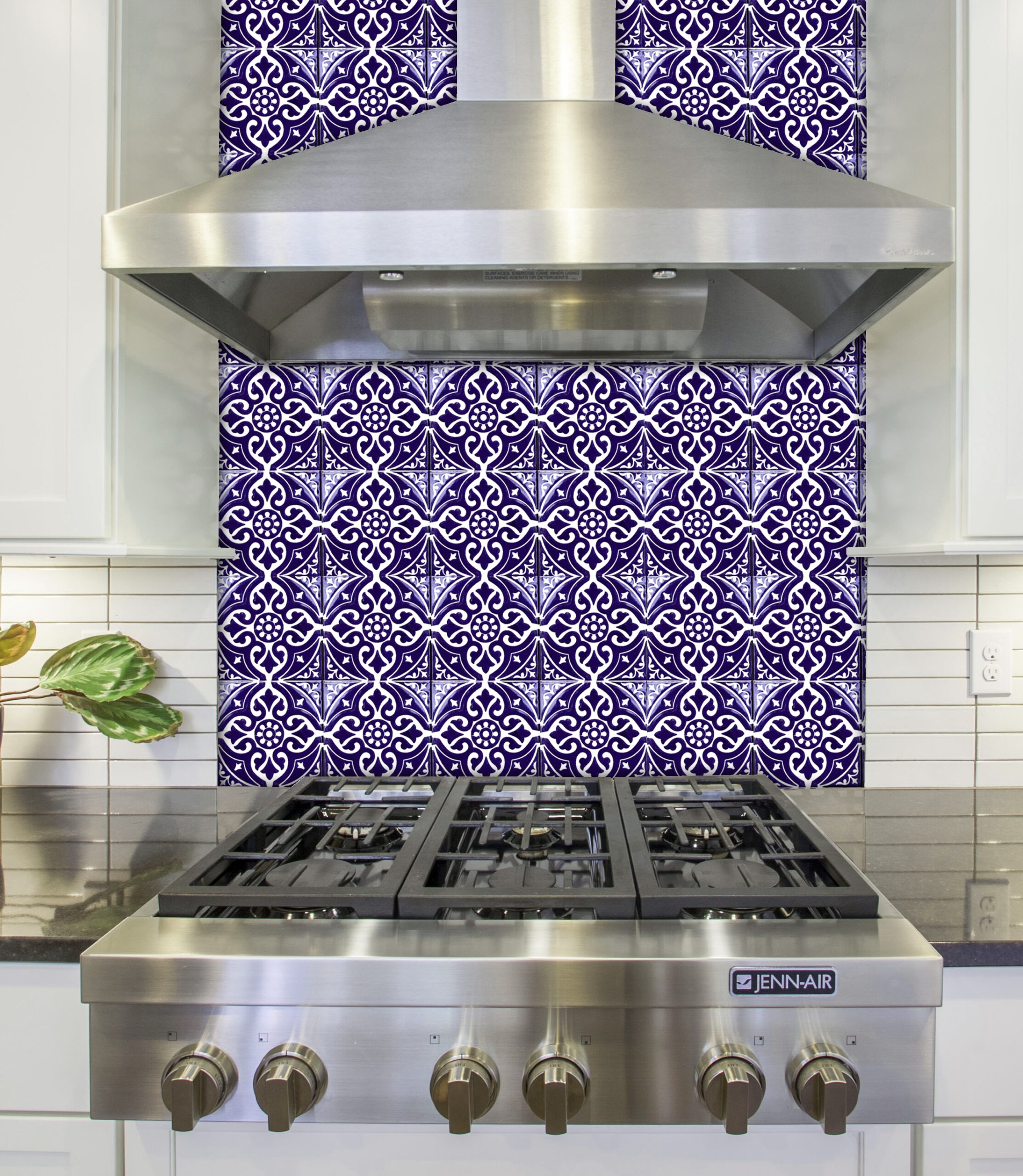 Mexican Talavera Tile - AMT 029/405 BOLD (11cm x 11cm)